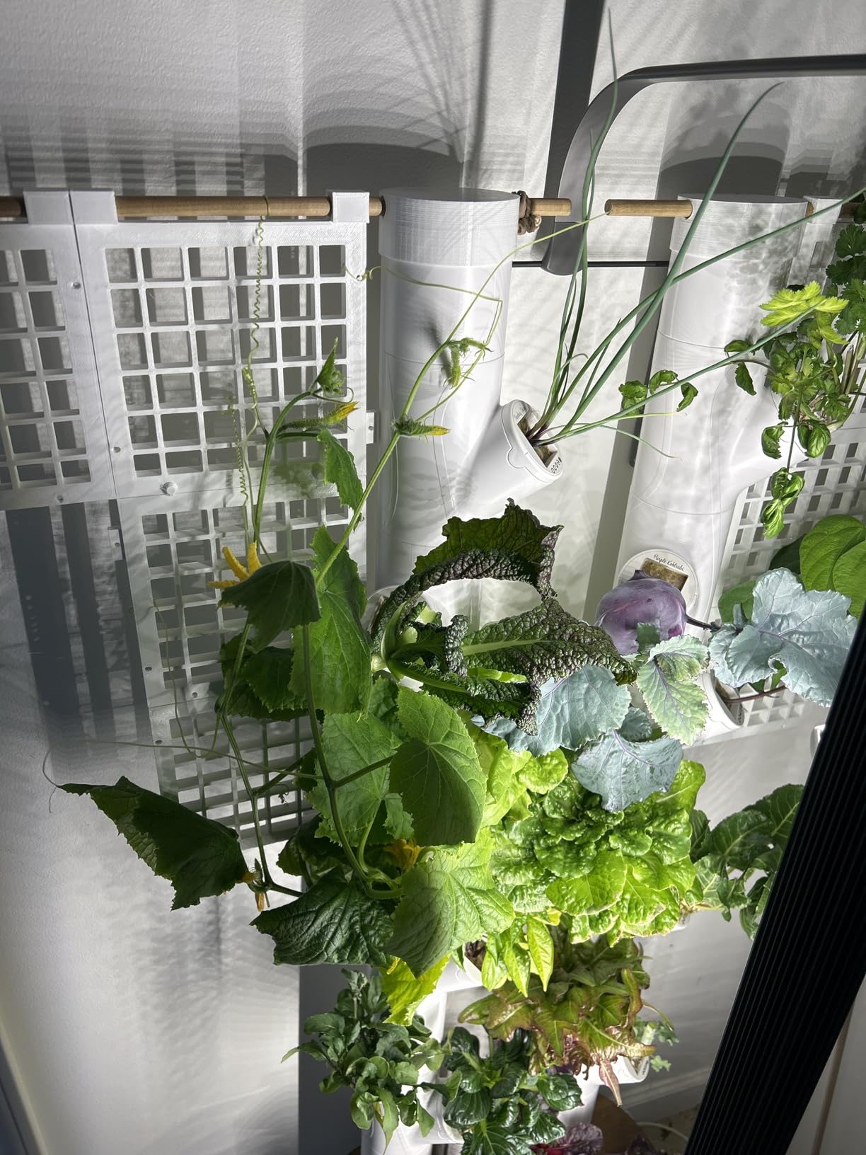 Gardyn Studio 2 Hydroponics Growing System - 16 Plants, Smart Tower customer photo 1