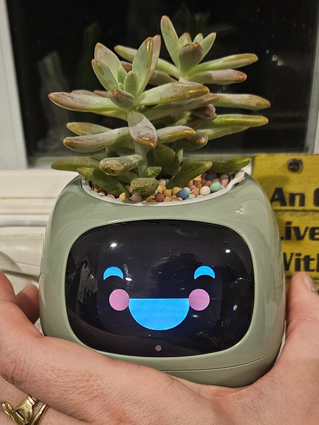 Ivy Interactive AI Desk Companion & Smart Plant Pet Indoor Planter Violet | 100+ Expressions for Office Decor & Unique Gift for Plant Lovers and Coworkers customer photo 1