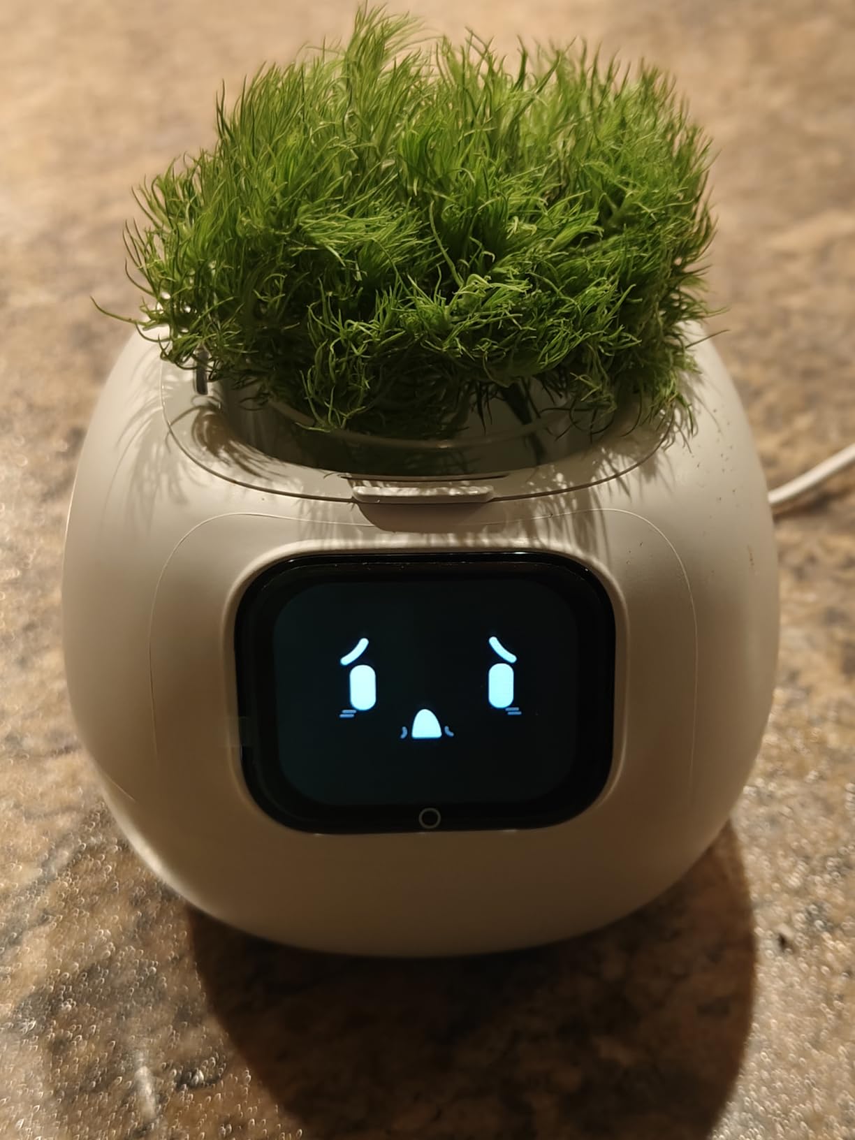 Smart Plant Pot with Emotion Display, Touchscreen & No App Needed, Auto Self-Watering with Alarm Clock & Plant Monitor, Unique Birthday Gift for Women, Plant Lovers & Housewarming customer photo 1