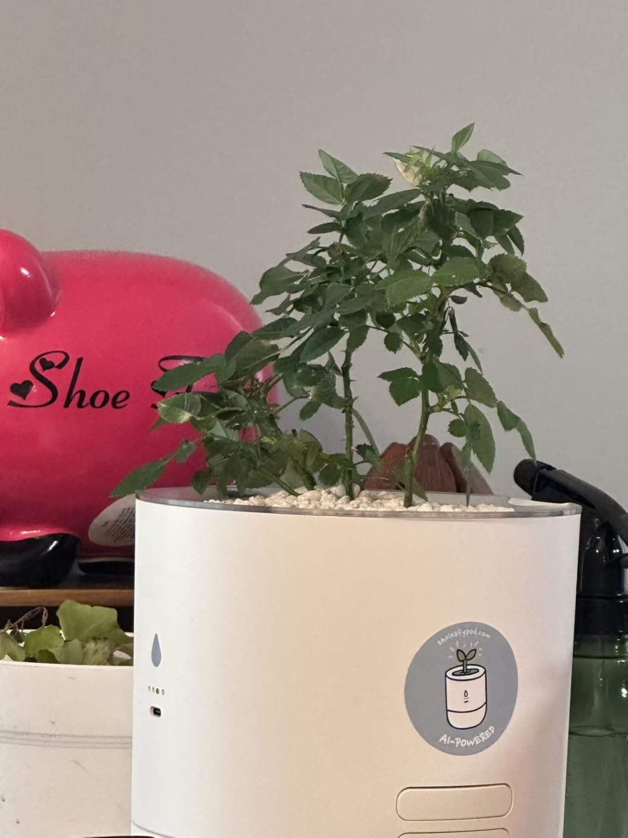 8 Inch Smart Self Watering Planter with WiFi Bridge & App Control - AI Plant Care System with Sensors, Automatic Watering, Alerts - Modern Indoor Planter for Houseplants | Cordless customer photo 2