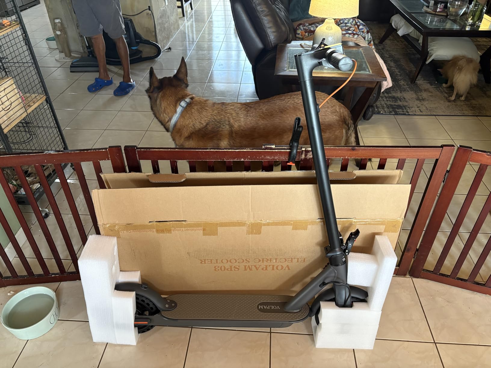 VOLPAM Electric Scooter, 350W/500W Powerful Motor & 19 MPH Top Speed, 16/21 Miles Long Range, Folding E Scooter Choice customer photo 1