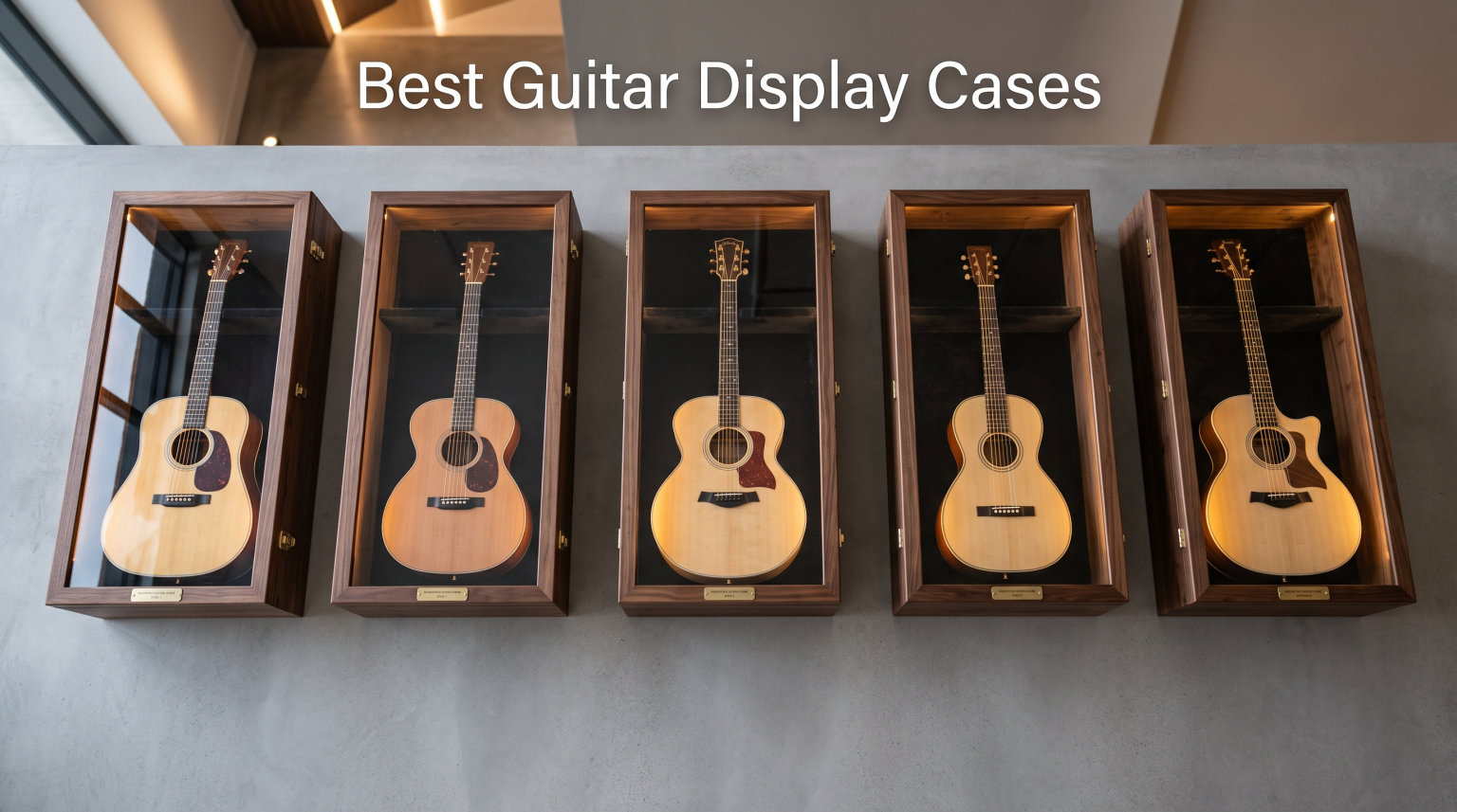 Best Guitar Display Cases