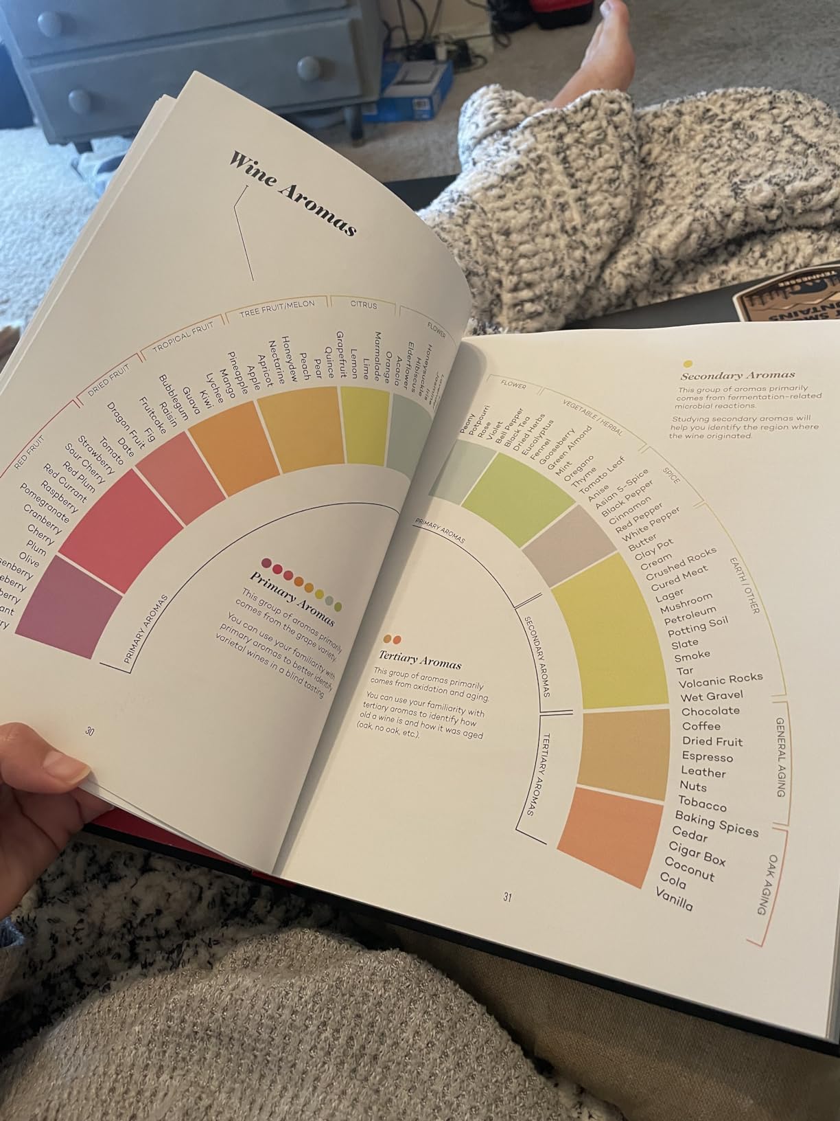 Wine Folly: Magnum Edition: The Master Guide customer photo 2
