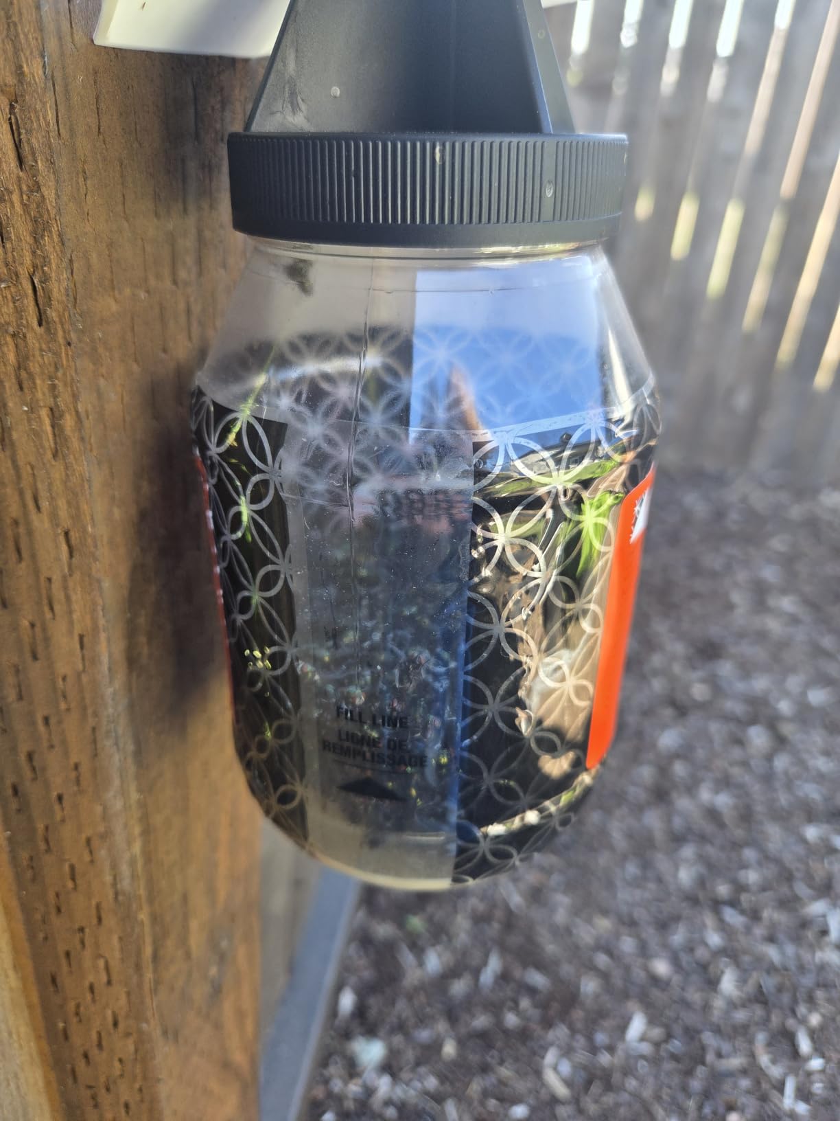 TERRO Fly Magnet Trap, Reusable Poison-Free Outdoor Fly Catcher with Bait customer photo 2