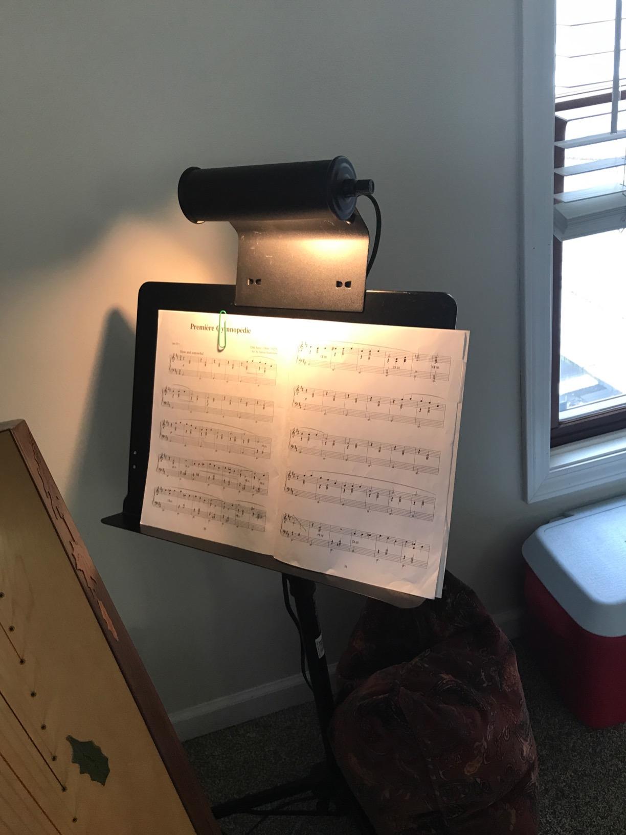 Manhasset Clip-On Music Stand Light for Musicians customer photo 1