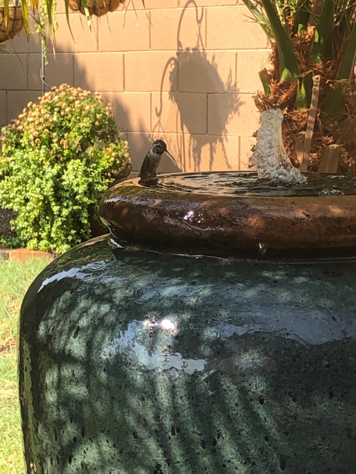 Danner Manufacturing, Inc., Pondmaster 700 GPH Pond-Mag, Magnetic Drive Water Pump, 02527 customer photo 1