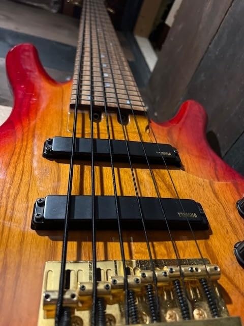DR Strings BLACK BEAUTIES - Black Colored Bass Strings: Medium 45-105 customer photo 2