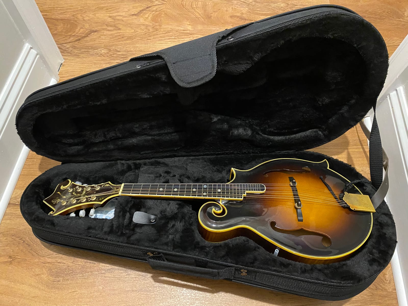 Gator Cases Lightweight Polyfoam Guitar Case for Mandolin (GL-MANDOLIN) customer photo 1