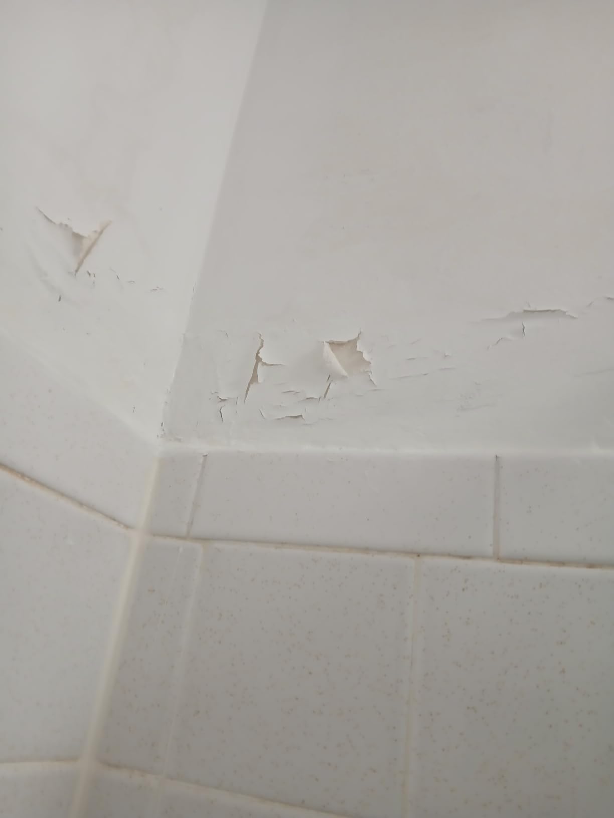 Zinsser 02774 PERMA-WHITE Mold & Mildew Proof Interior Paint, Quart, Eggshell White | Eggshell finish. Mold & mildew-proof, moisture-resistant finish for baths, kitchens & basements. Scrubbable & washable. customer photo 1