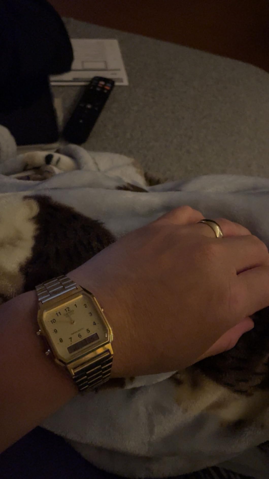 Casio Men's AQ-230GA-9D Gold Analog & Digital with Index Watch customer photo 1