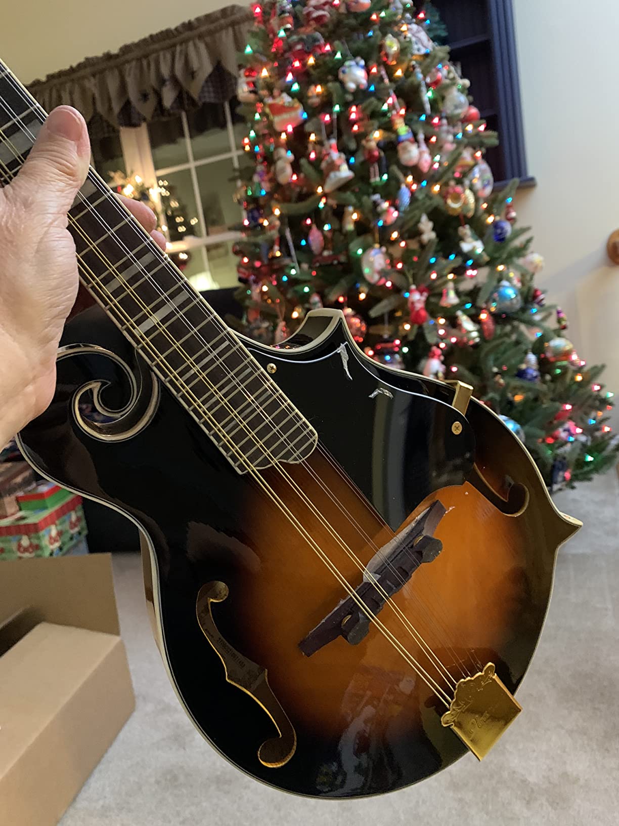 Ibanez M522S Mandolin - Brown Sunburst High Gloss customer photo 2