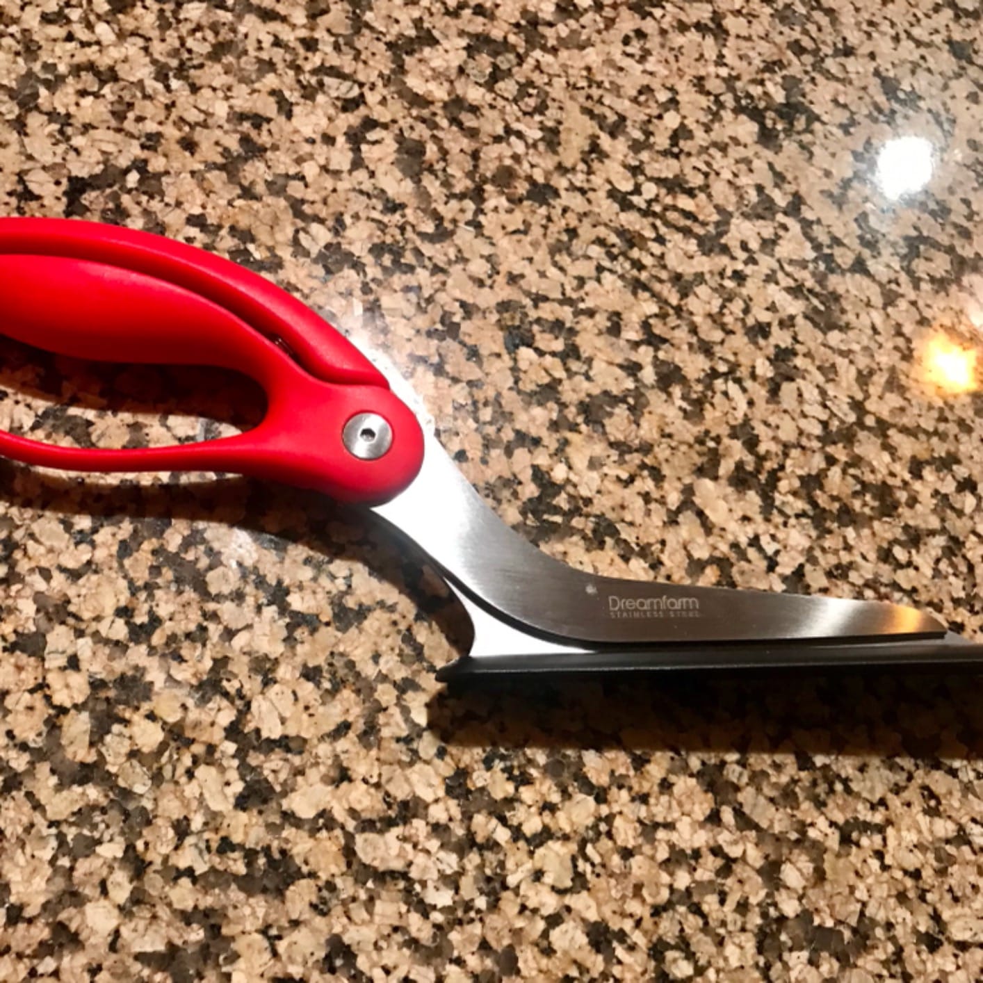 Dreamfarm Scizza 2-In-1 Easy Ergonomic Pizza Scissors with Stainless Steel Pizza Cutter Blades & Non-Stick Slice Server - Black customer photo 2