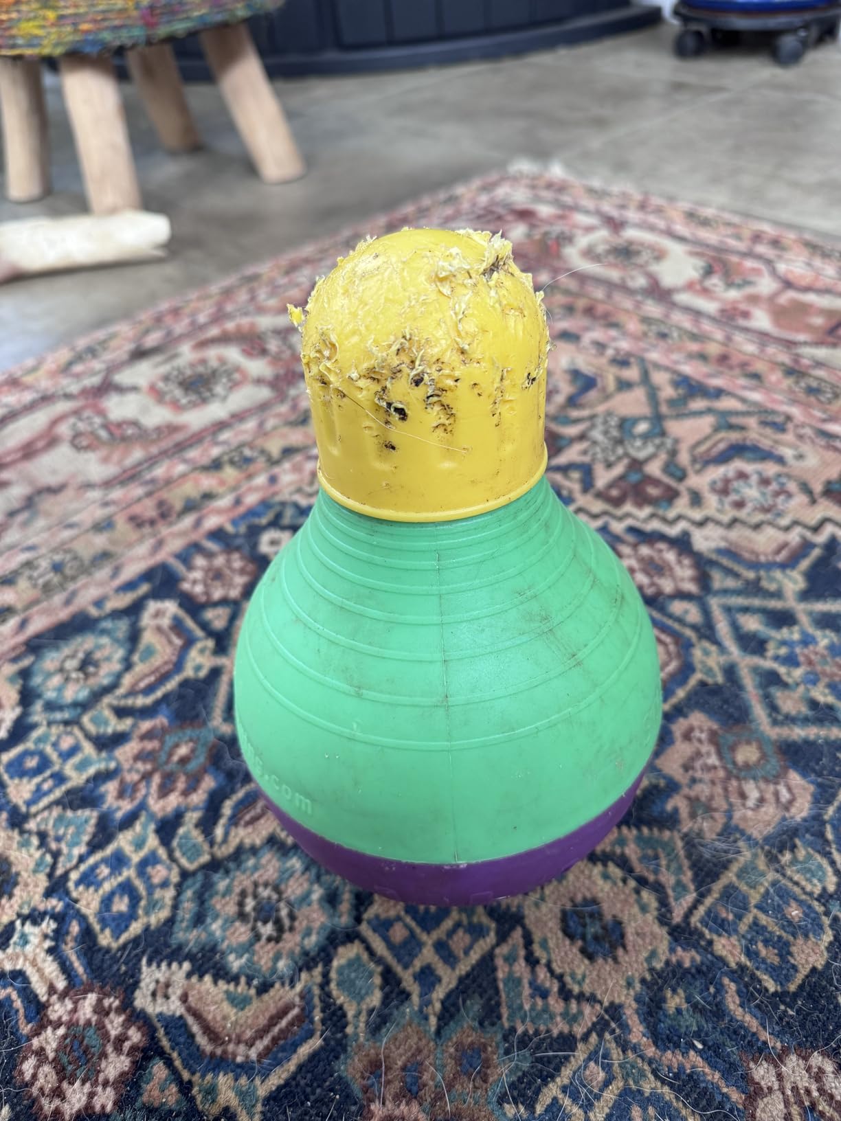 Starmark Bob-A-Lot Interactive Dog Pet Toy, Large, Yellow/Green/Purple customer photo 1