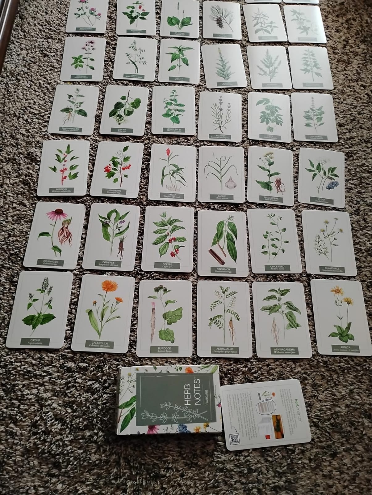 Wildcraft! Cooperative Games for Kids 4+, Learn 25 Herbs, Family Game customer photo 2