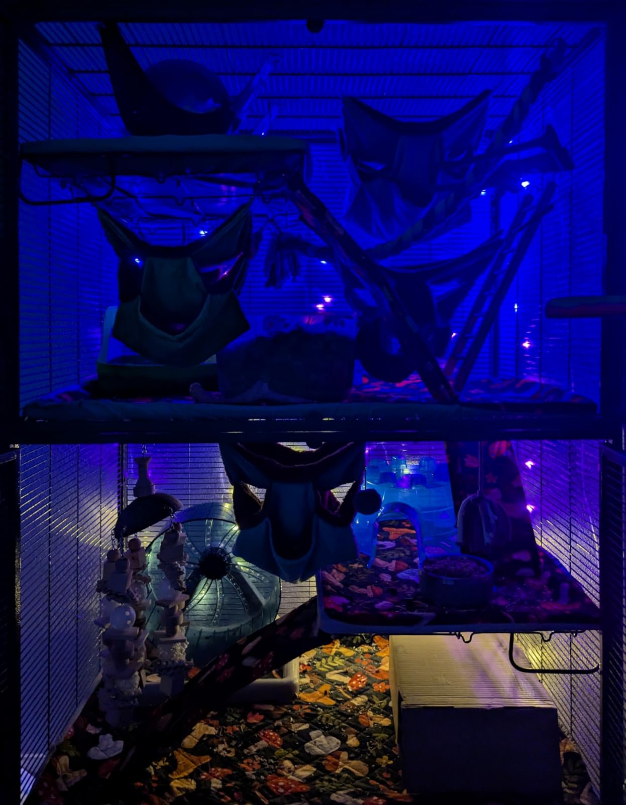 Critter Nation by MidWest Double Unit Small Animal Cage customer photo 2