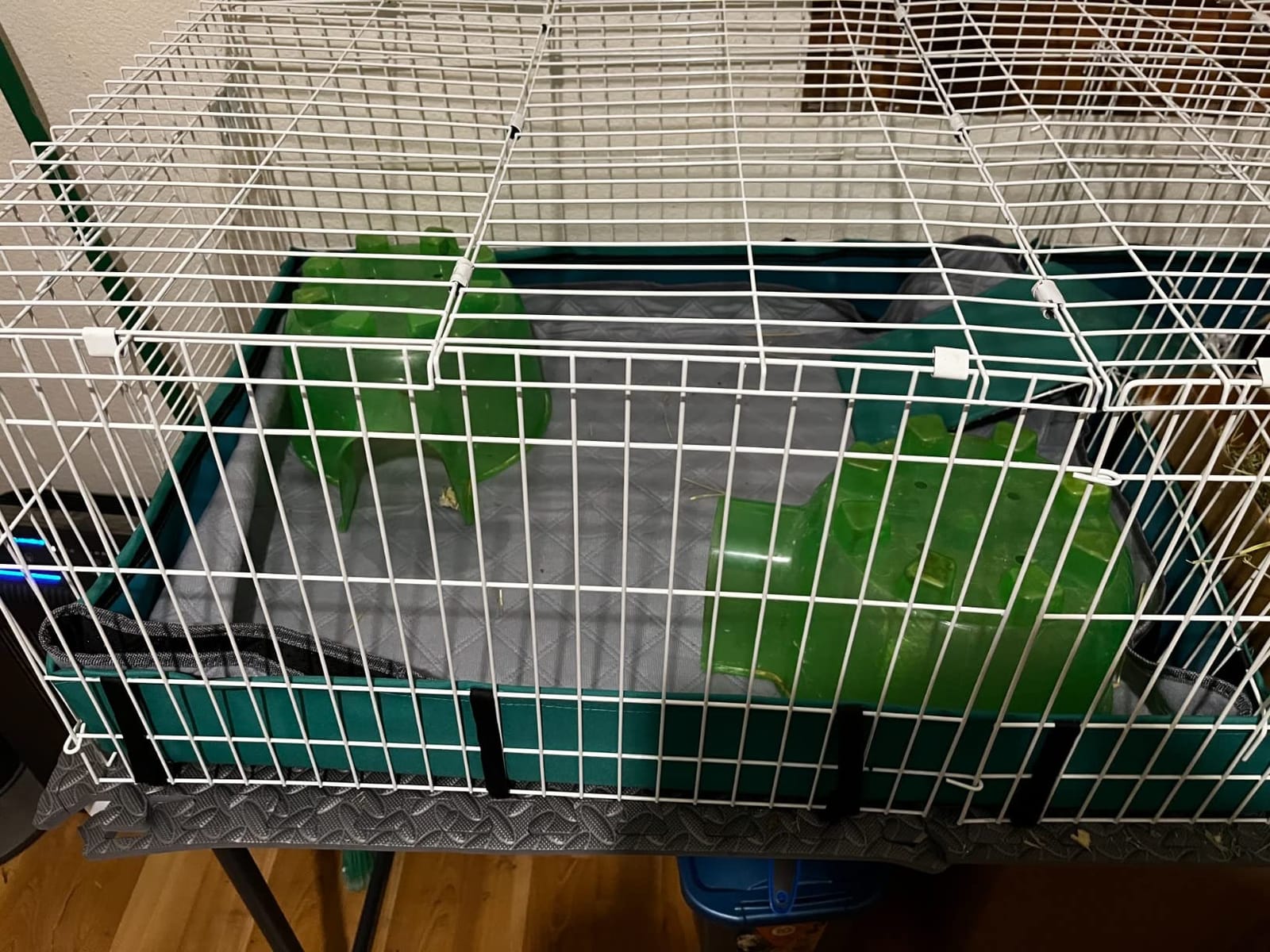 MidWest Homes for Pets Guinea Habitat Plus Cage, Includes Divider Panel and Hinged Top, Washable PVC Canvas Bottom, Expandable Small Animal Cage for Guinea Pigs, 171GHP customer photo 2