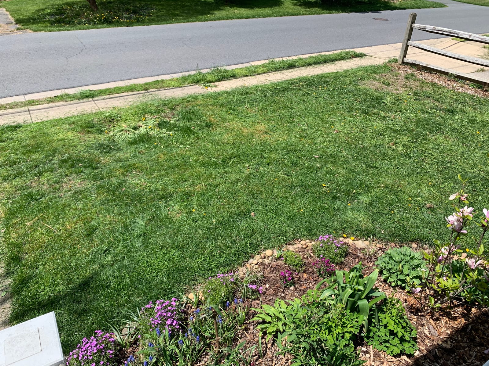 Scotts 304-14S 14-Inch 5-Blade Push Reel Lawn Mower, Green customer photo 1