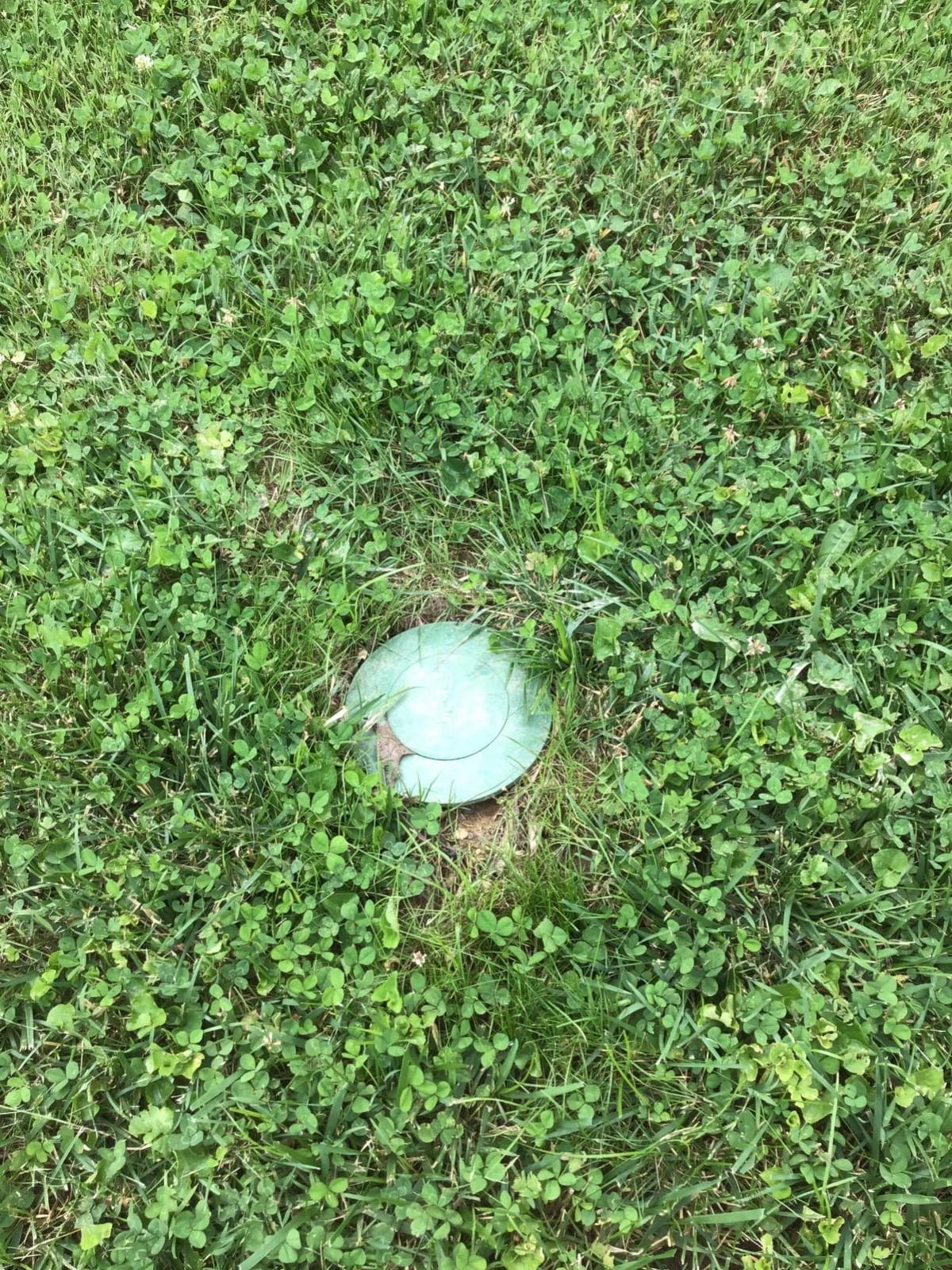 NDS 422G Pop-Up Drainage Emitter with Elbow fits 4-Inch Sewer and Drain Pipe, Works with Drainage Systems Including Catch Basins, Green customer photo 1