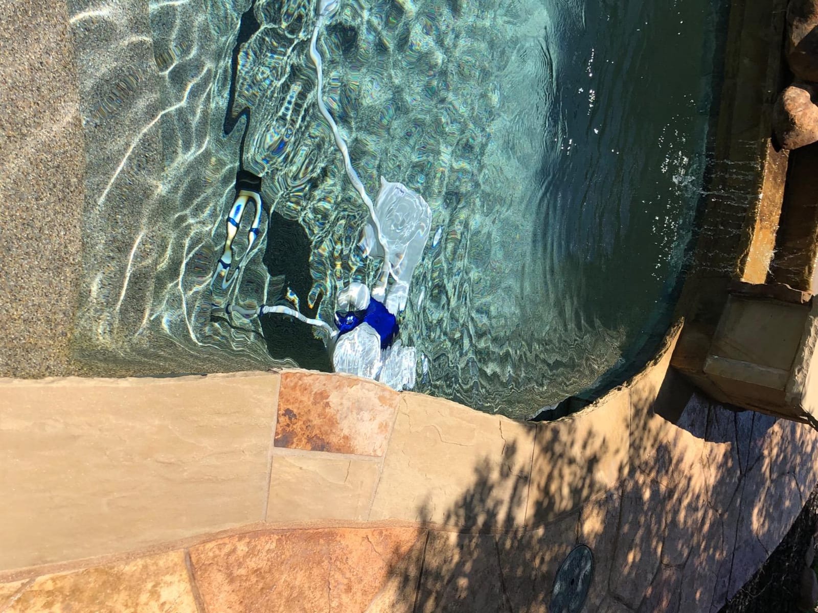 Polaris Vac-Sweep 380 Pressure Side Pool Cleaner, Triple Jet Powered customer photo 1