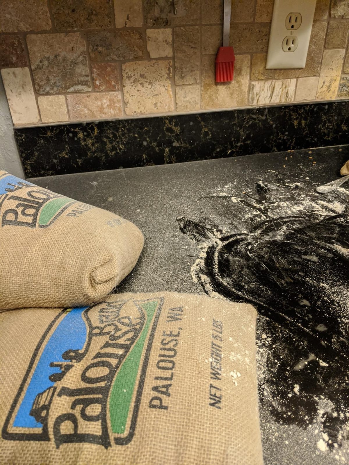 Wondermill Kitchen Mill - Electric Grain Mill - High Speed Wheat, Corn, Grain Grinder, Flour Mill - Assembled in the USA - Stainless Steel Milling Chamber customer photo 2