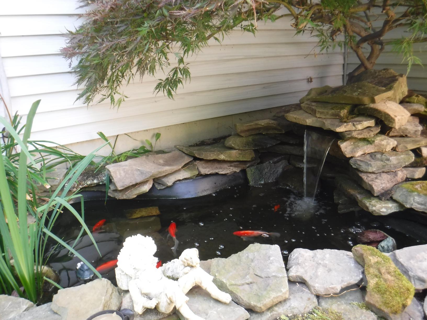 Tetra Pond Water Garden Pump, 1081 GPH customer photo 1
