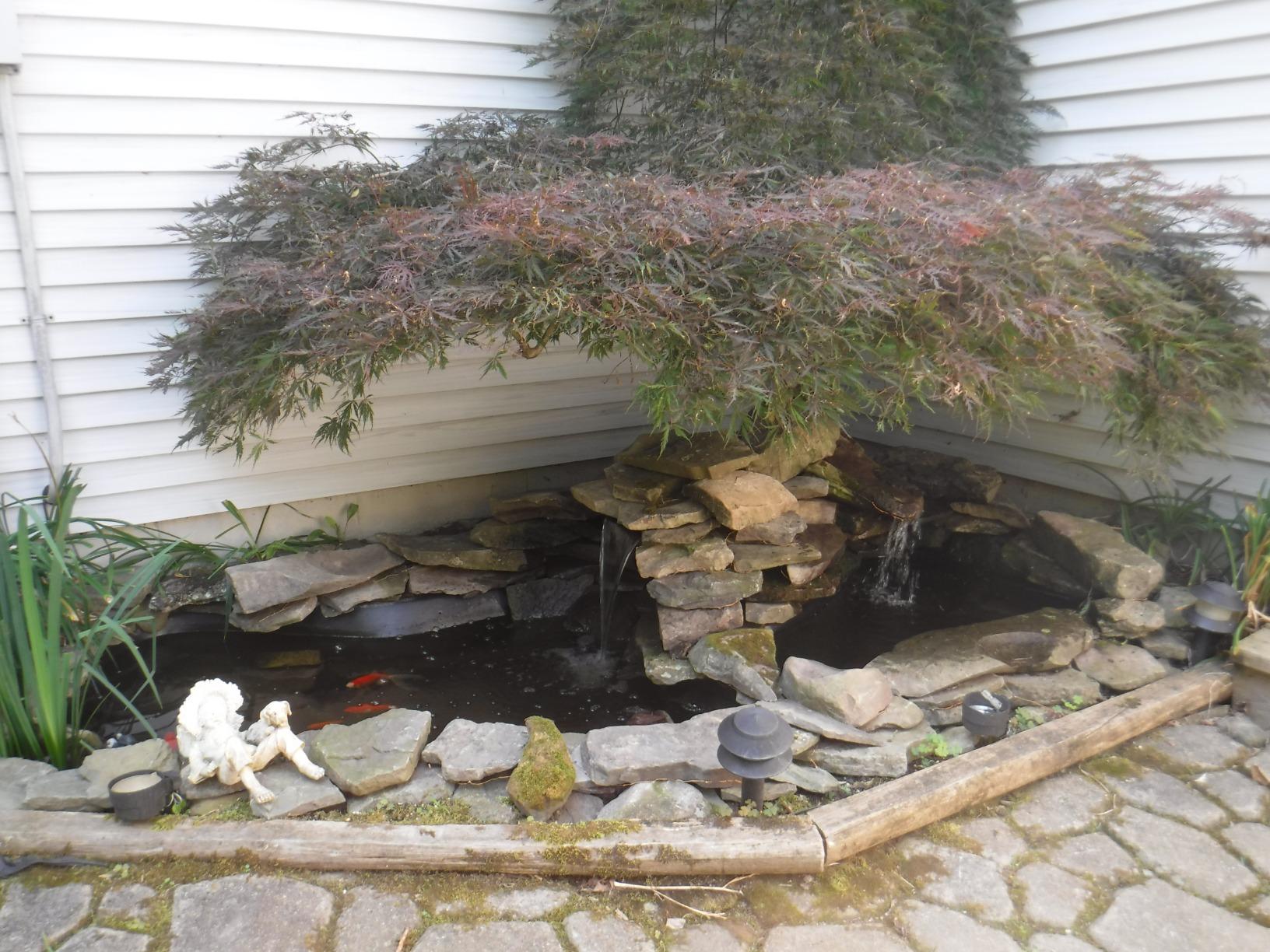 Tetra Pond Water Garden Pump, 1081 GPH customer photo 2