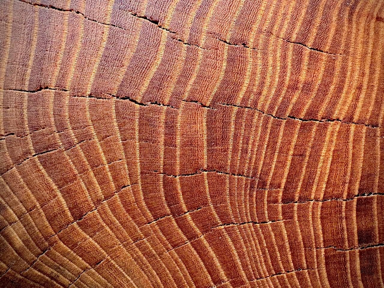 Hope's 100% Pure Tung Oil, Food Safe Wood Finish, 16 Fl Oz customer photo 1