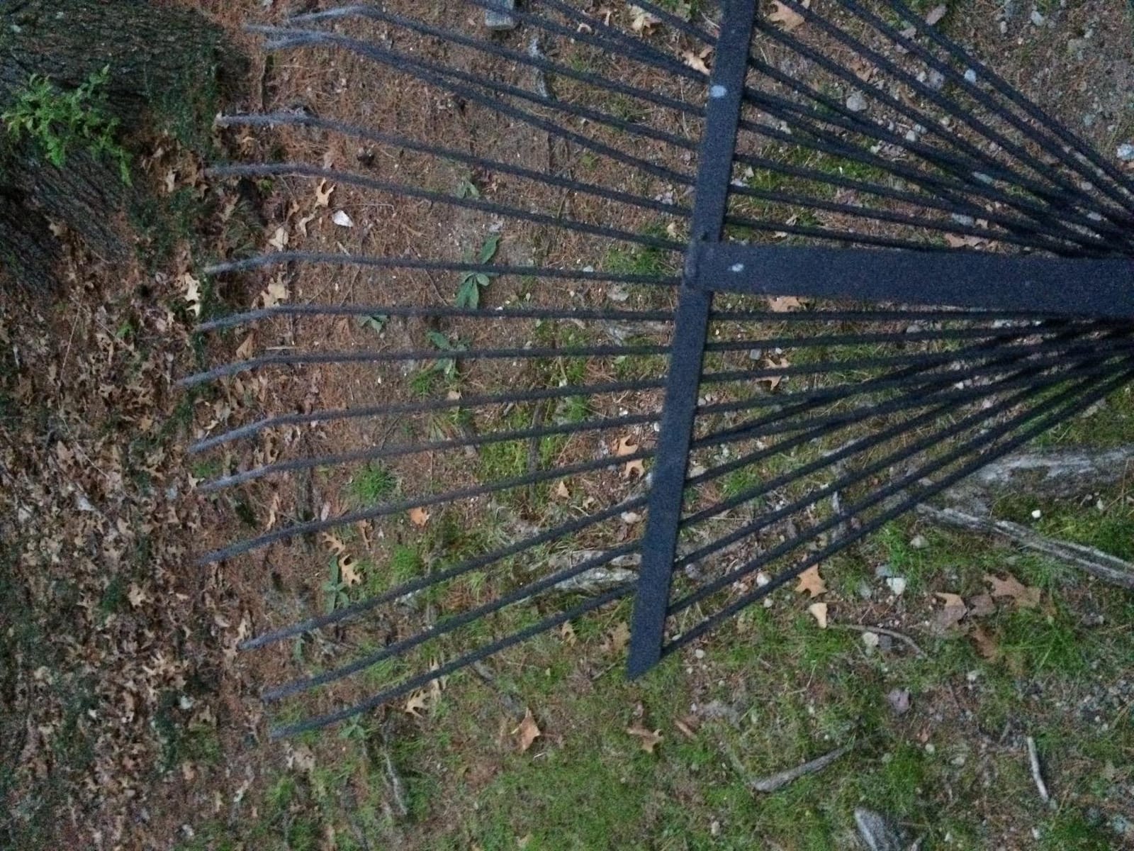 Bully Tools 24-Tine Thatching Garden Rake for Leaves | Heavy Duty Metal Leaf Rake | Dethatching Large Leaves and Yard Debris, 23.5