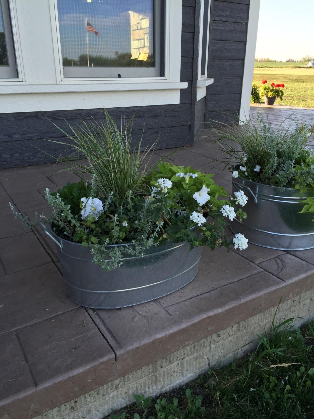 Achla Designs C-50 Galvanized Steel round tub, Standard customer photo 2
