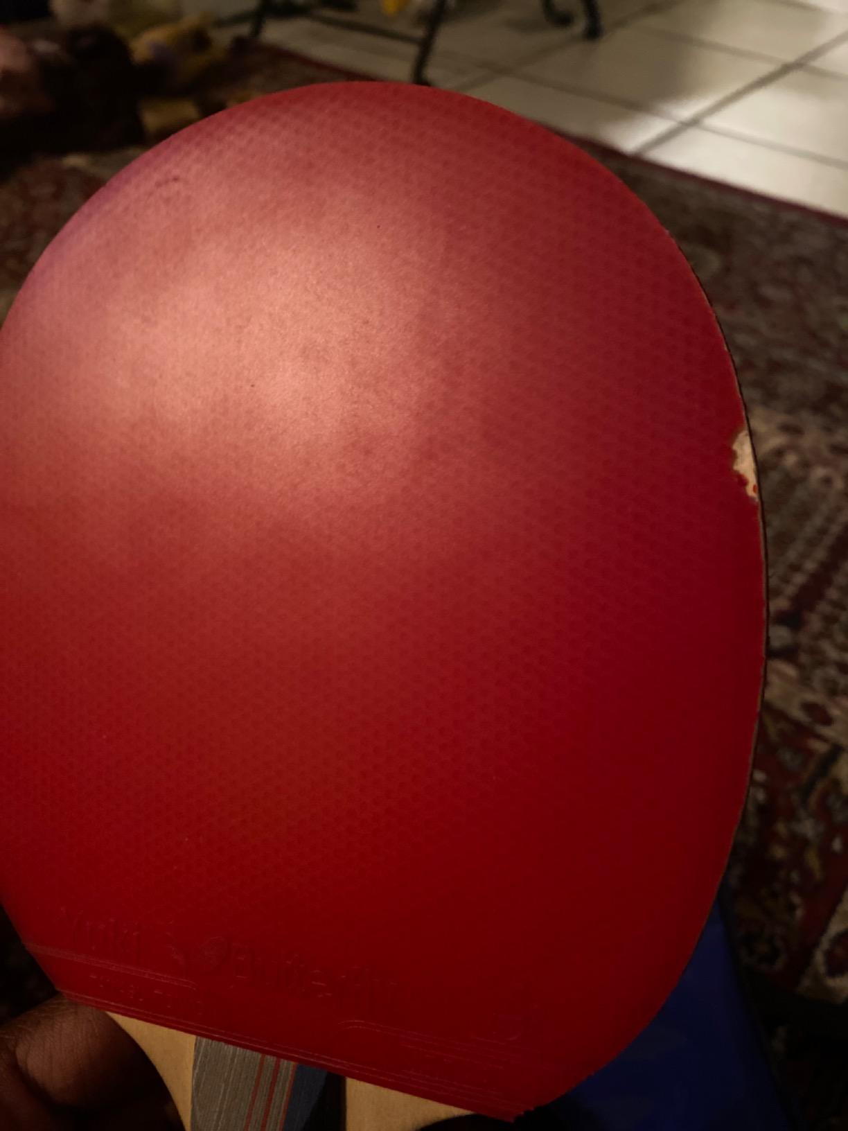 Butterfly 401 Table Tennis Racket Set - 1 Ping Pong Paddle – 1 Ping Pong Paddle Case - ITTF Approved Table Tennis Paddle - Ships in Ping Pong Racket Gift Box, Multi, B401FL customer photo 2