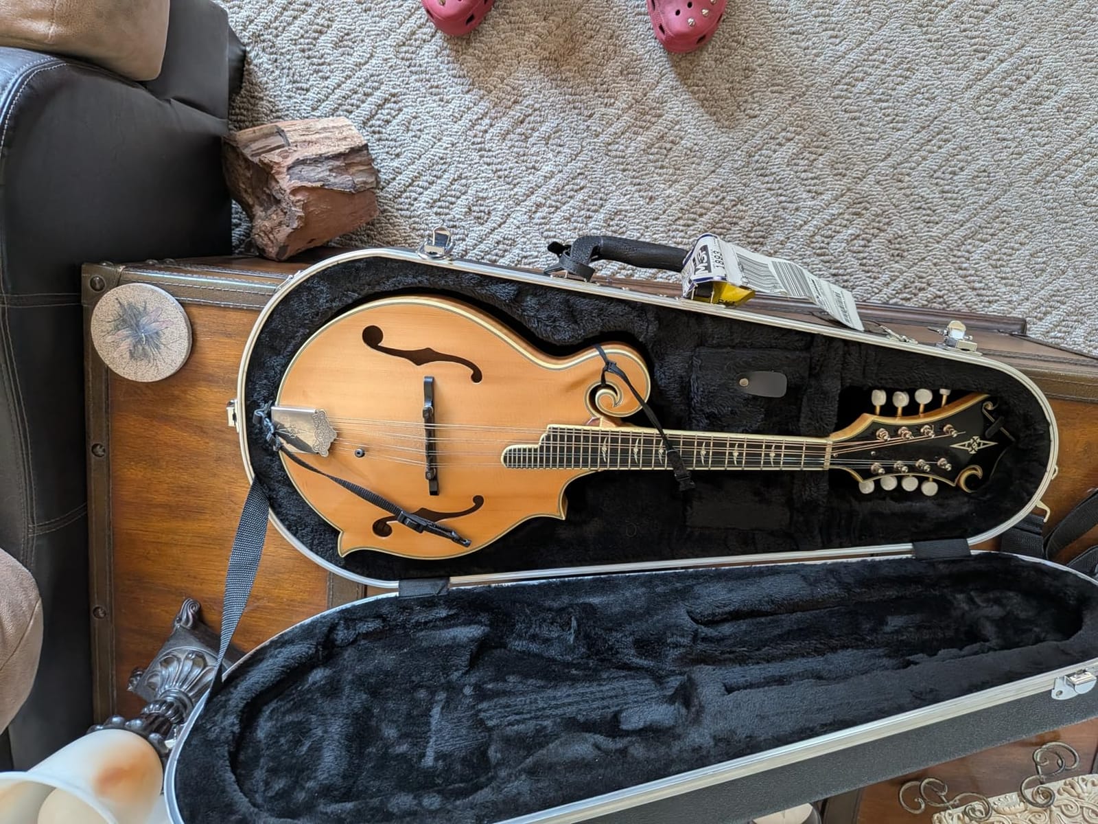 Gator Cases Deluxe ABS Molded Case for Mandolin's; Fits Both 'A' and 'F' Style Mandolin's (GC-MANDOLIN) customer photo 1
