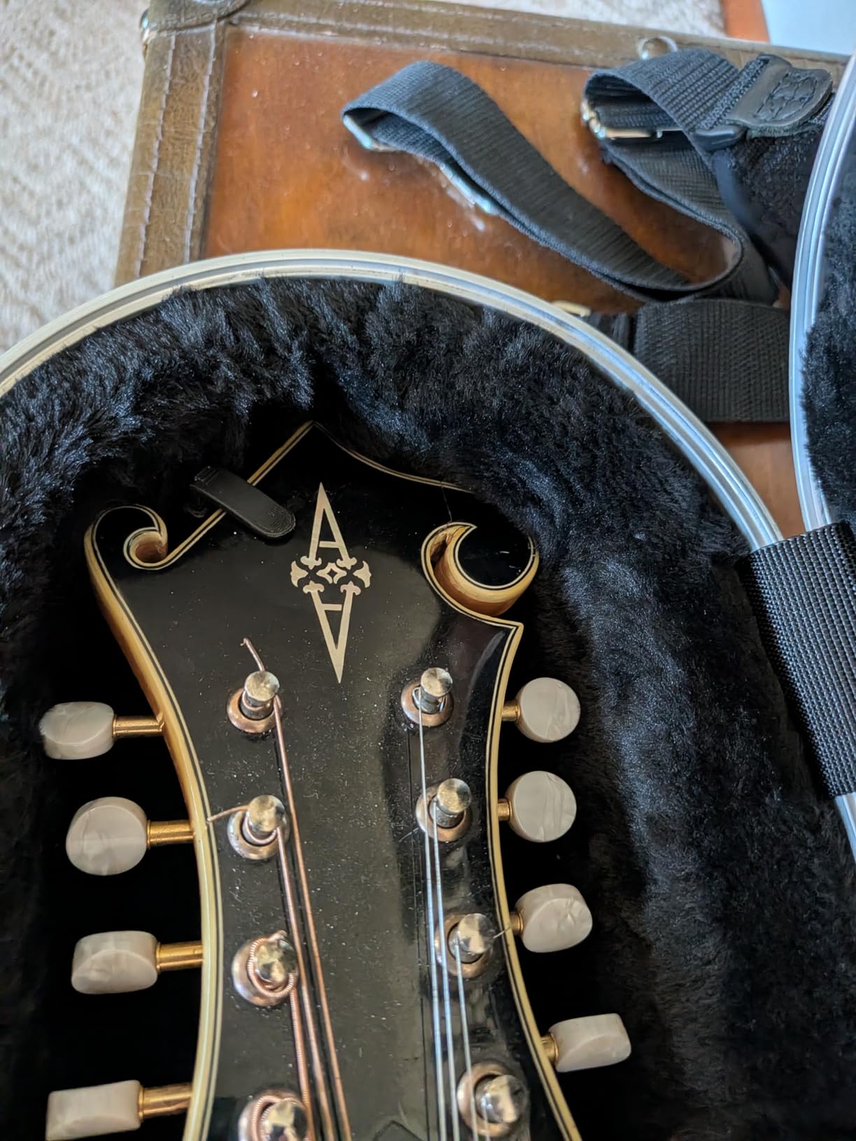 Gator Cases Deluxe ABS Molded Case for Mandolin's; Fits Both 'A' and 'F' Style Mandolin's (GC-MANDOLIN) customer photo 2