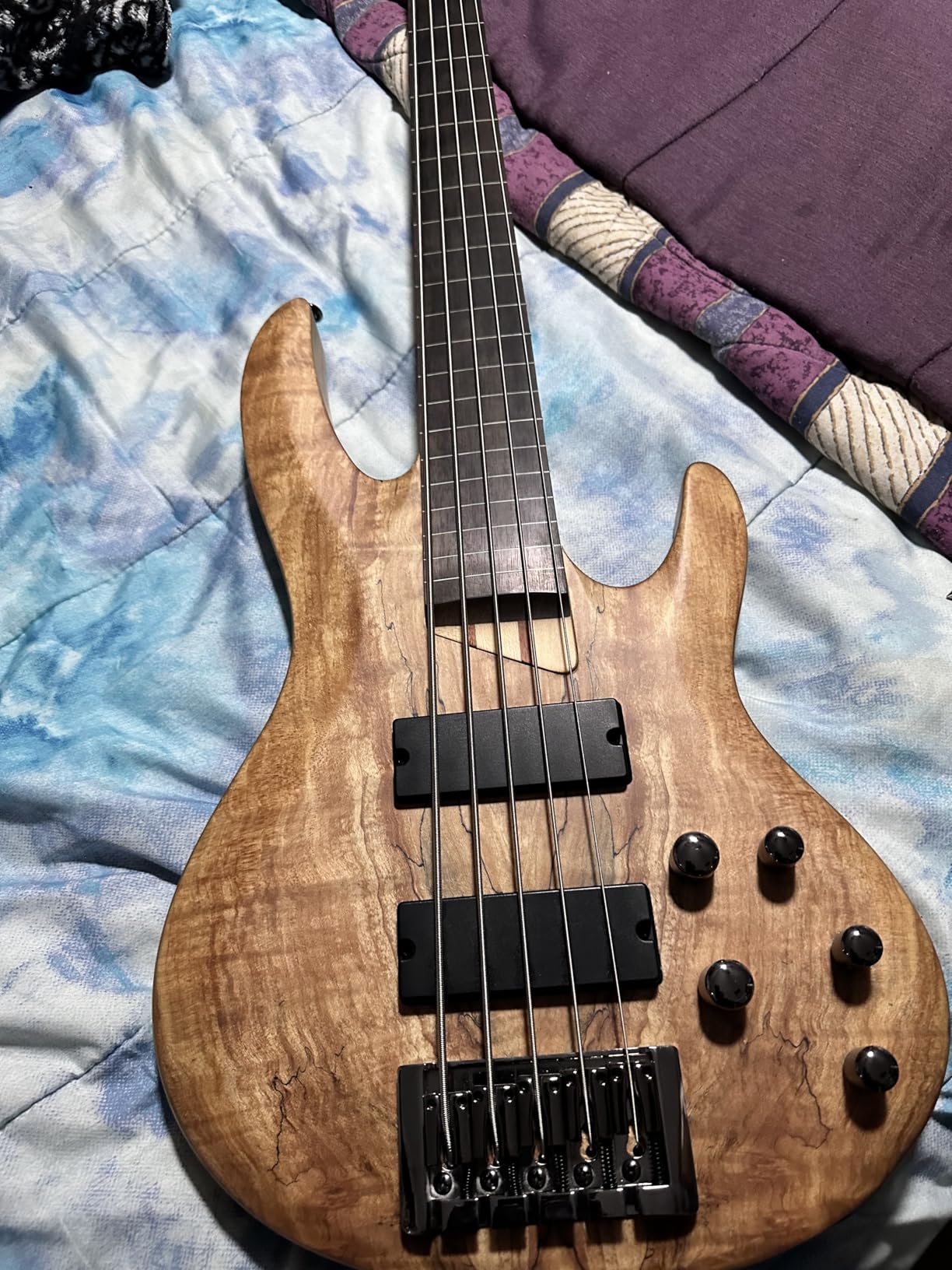 ESP LTD B-205 5-string Bass Guitar - Natural Satin customer photo 2