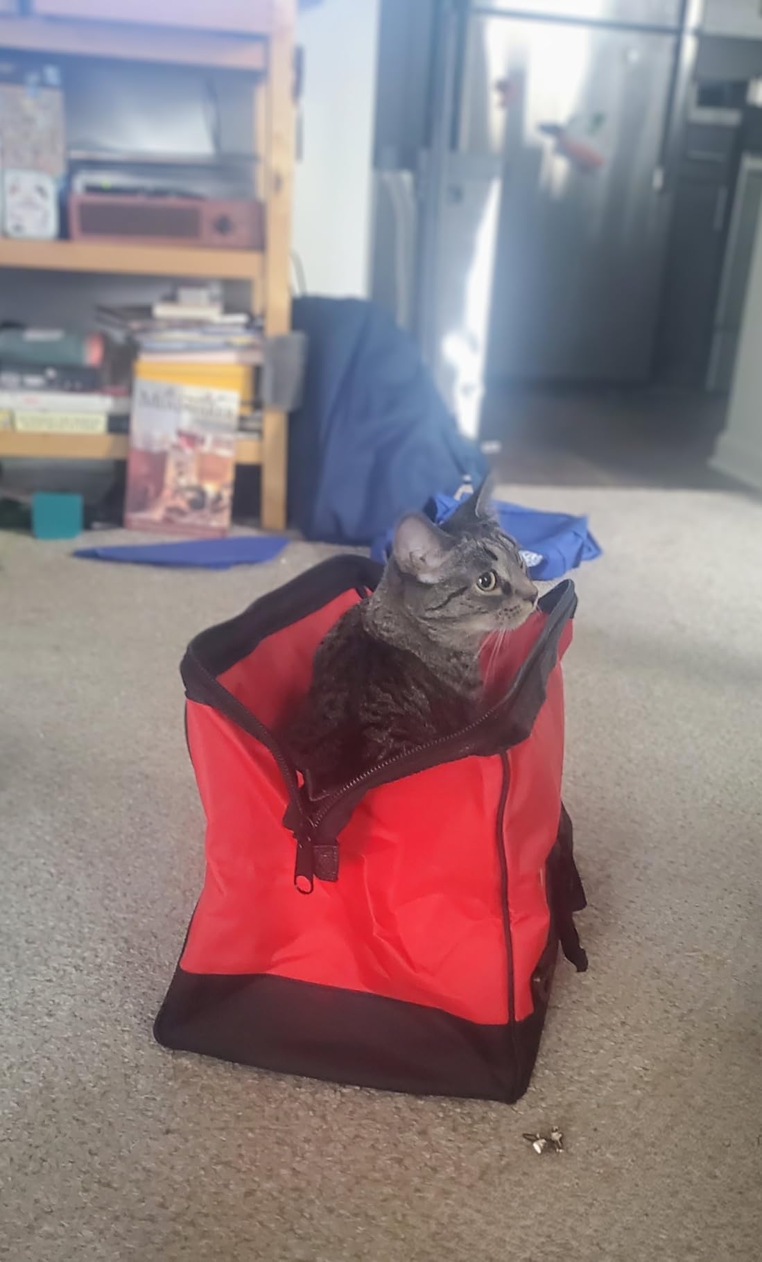 Milwaukee 17 Inch Heavy Duty Canvas Tool Bag with 6 Interior Pockets, Reinforced Bottom, and Strap Ring (Shoulder Strap Not Included) customer photo 2