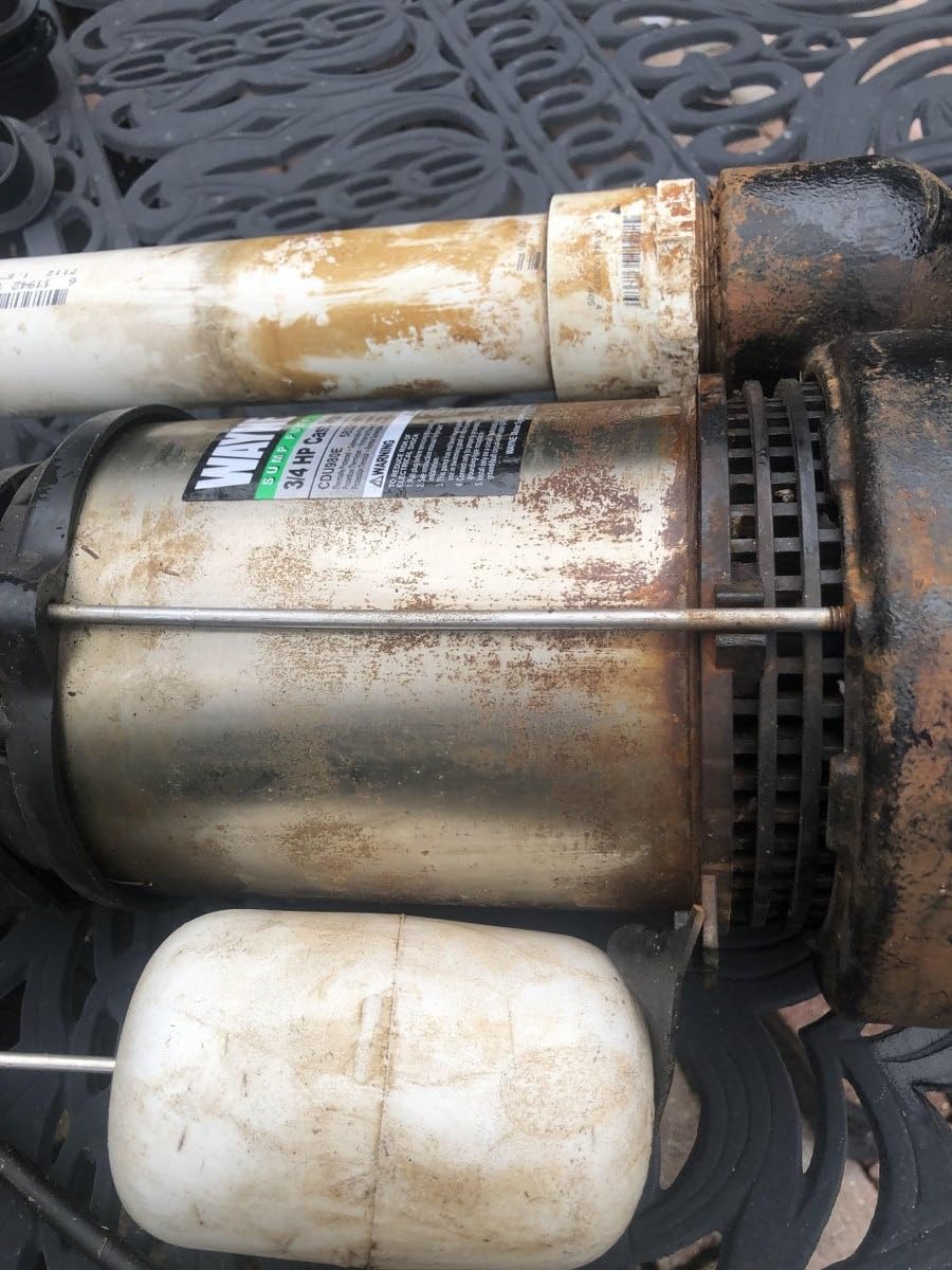 WAYNE CDU980E 3/4 HP Submersible Sump Pump – Cast Iron & Stainless Steel, Vertical Float Switch, 5,490 GPH, 5-Year Warranty customer photo 2