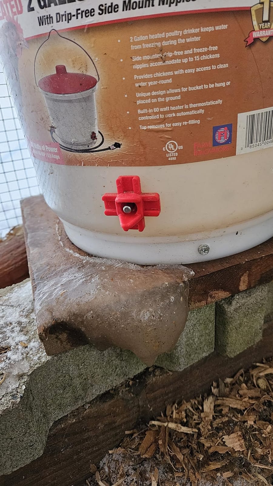 Farm Innovators HB-60P Thermostatically Controlled Heated 2 Gallon Plastic Outdoor Year Round Poultry Chicken Water Bucket Drinker, White/Red | Thermostatically controlled to keep water from freezing, side mounted drip-free/freeze-free nipples for up to 15 chickens customer photo 2