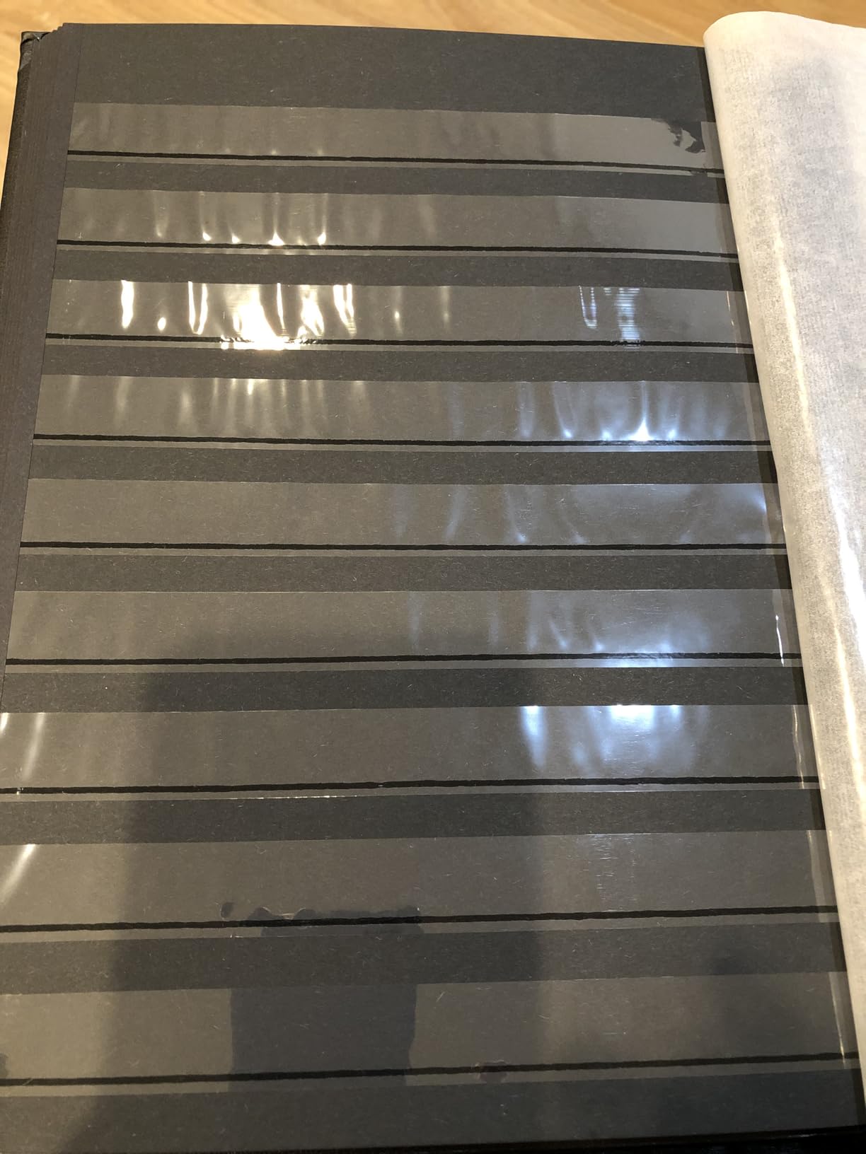 LIGHTHOUSE Comfort Padded Leather Cover Stockbook for Stamps - 32 Black Cardstock A4 Pages with Clear Strips and Double Linen Hinges - Red customer photo 1