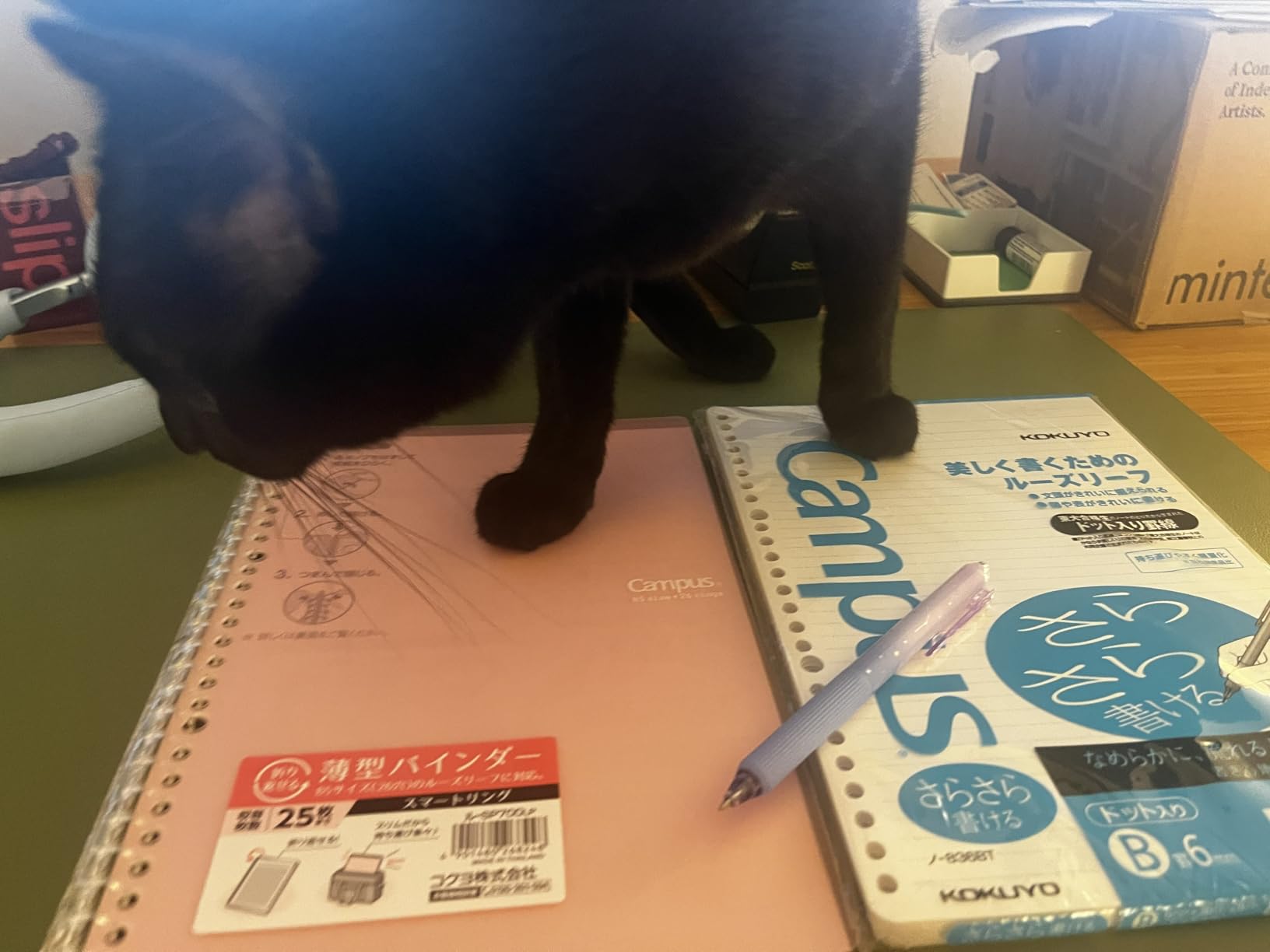 Kokuyo Smart Ring Binder, B5 Light Blue Binder Notebook, Up to 25 Sheets customer photo 2