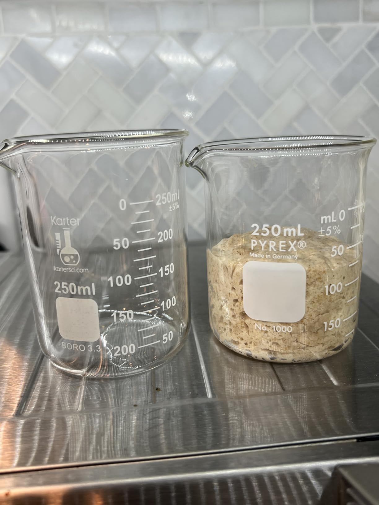 Karter Scientific, 3.3 Boro, Griffin Low Form, Glass Beaker Set - 6 Sizes - 10ml, 50ml, 100ml, 250ml, 500ml, 1000ml customer photo 2