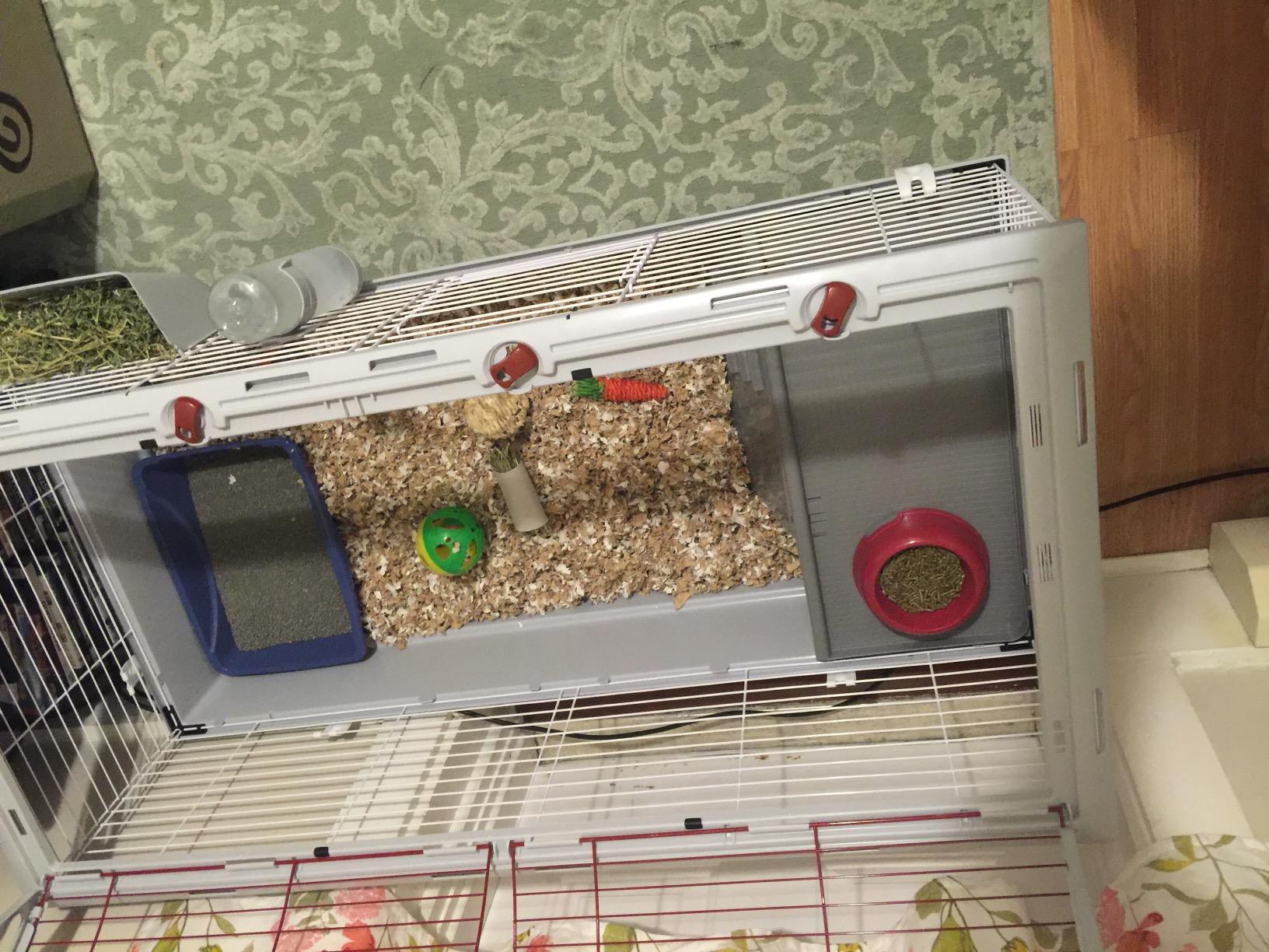 Living World - Deluxe Hybrid Habitat, X-Large customer photo 2