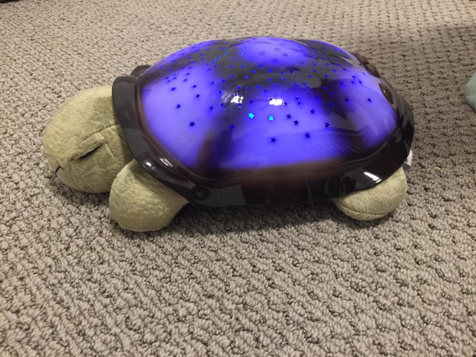 Cloud b Calming Nightlight Star Projector | Gentle Brightness | 3 Colors | 8 Constellations | Auto-Shutoff | Twilight Turtle Blue customer photo 1