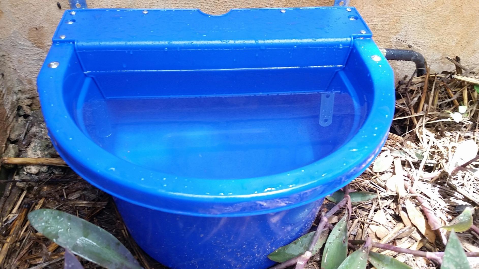 Little Giant Automatic Animal Waterer | DuraMate Float Controlled Automatic Waterer for Livestock | Heavy Duty and Durable | Made in USA | 4 Gallon (Blue) customer photo 1