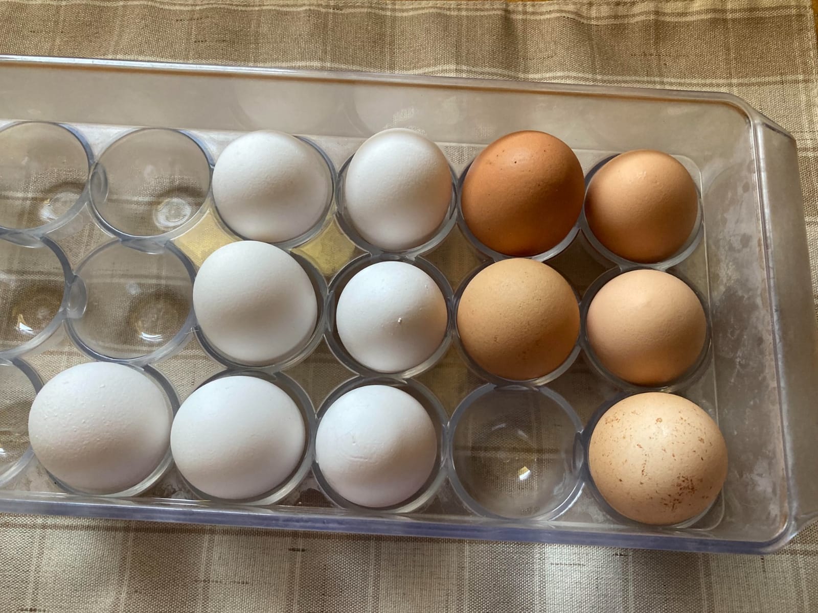 iDesign Clear Plastic Egg Holder for Fridge with Lid, 21 Egg | Storage Container, Organizer Bin customer photo 1