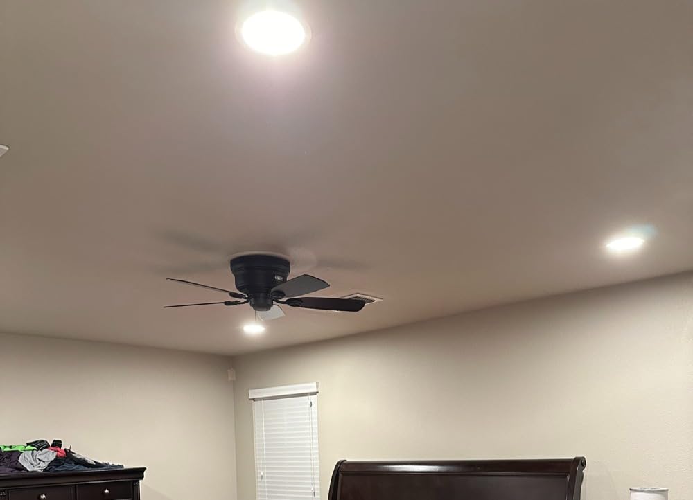 Hunter Low Profile IV, Indoor, Ceiling Fan, No Light, 42 inch, New Bronze customer photo 1