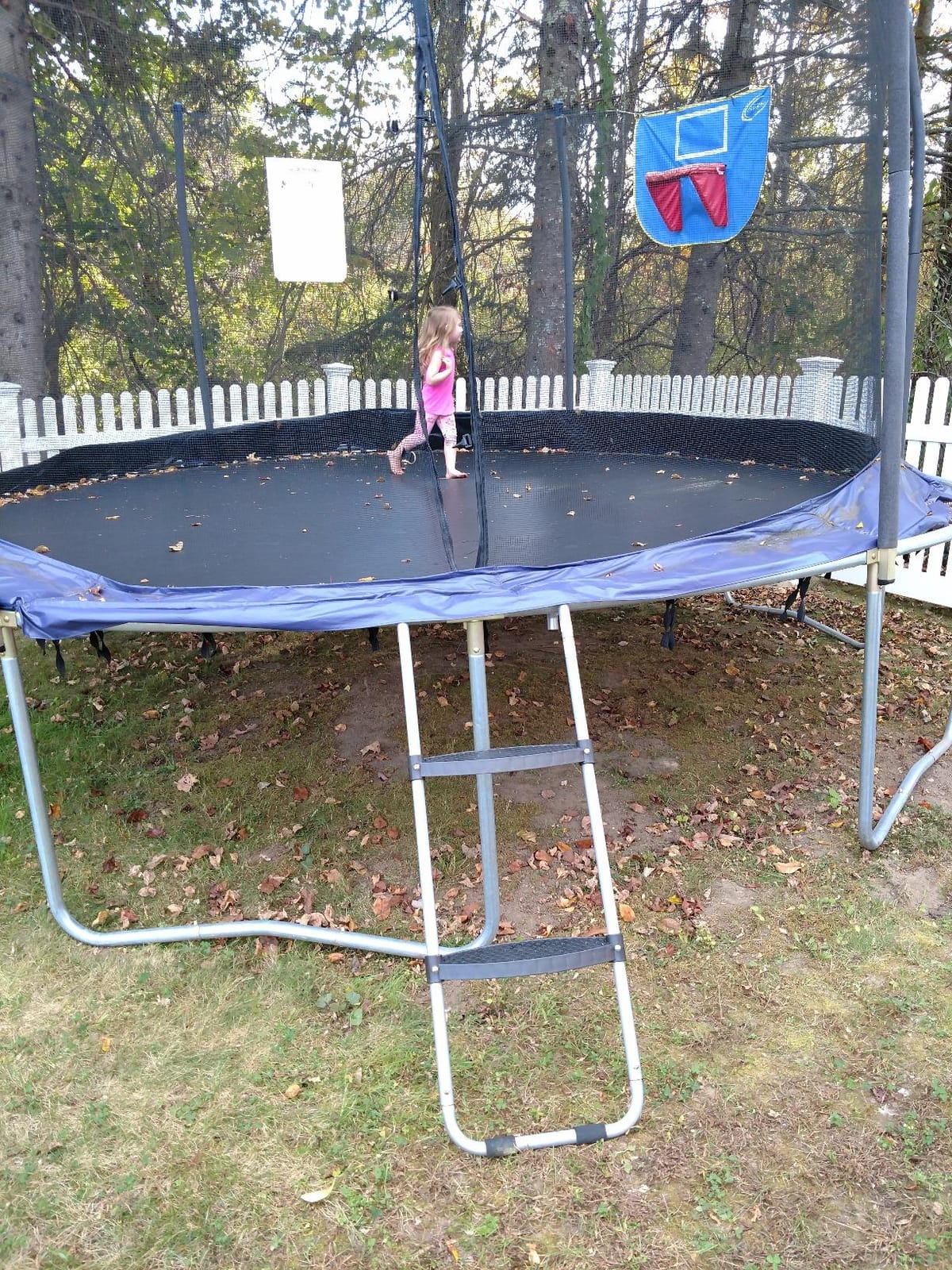 Skywalker Trampolines Wide-Step Ladder customer photo 2