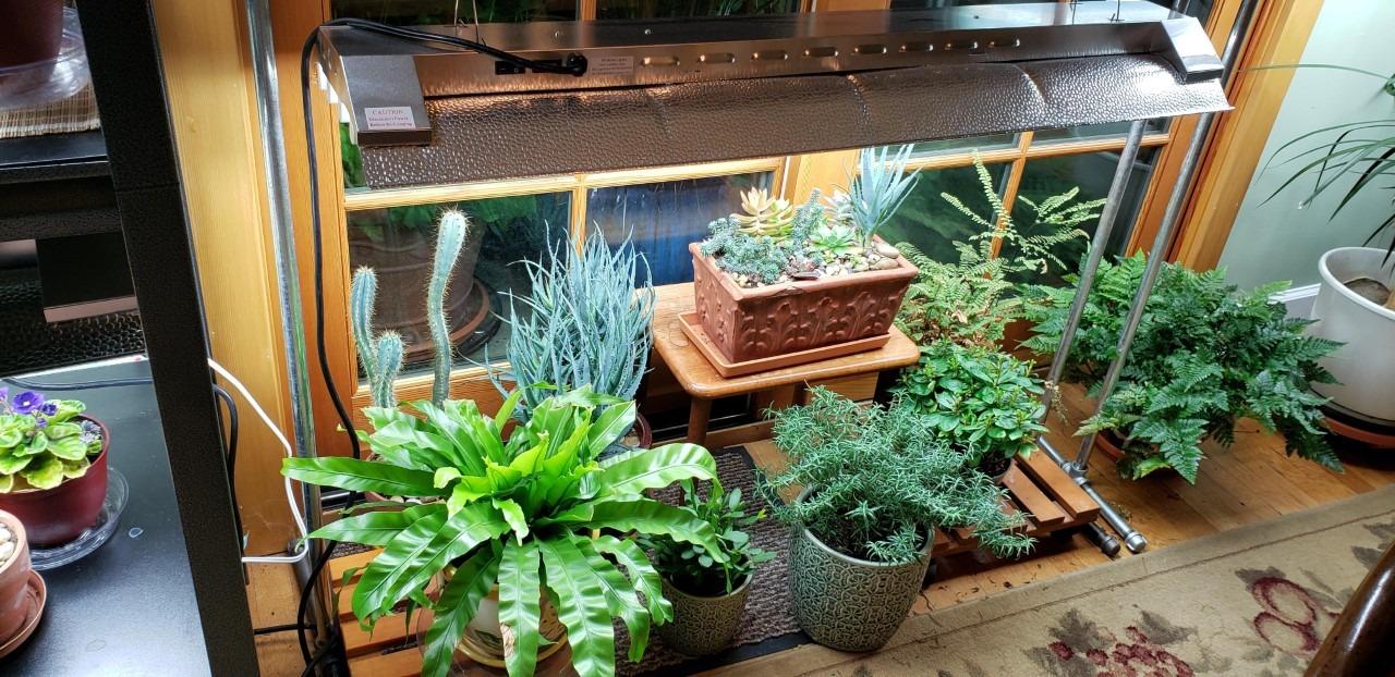 Durolux T5 Ho Grow Light - 4 Foot 4 Lamps - DL844 Fluorescent Hydroponic Indoor Fixture - Bloom Veg Daisy Chain with Bulbs customer photo 1