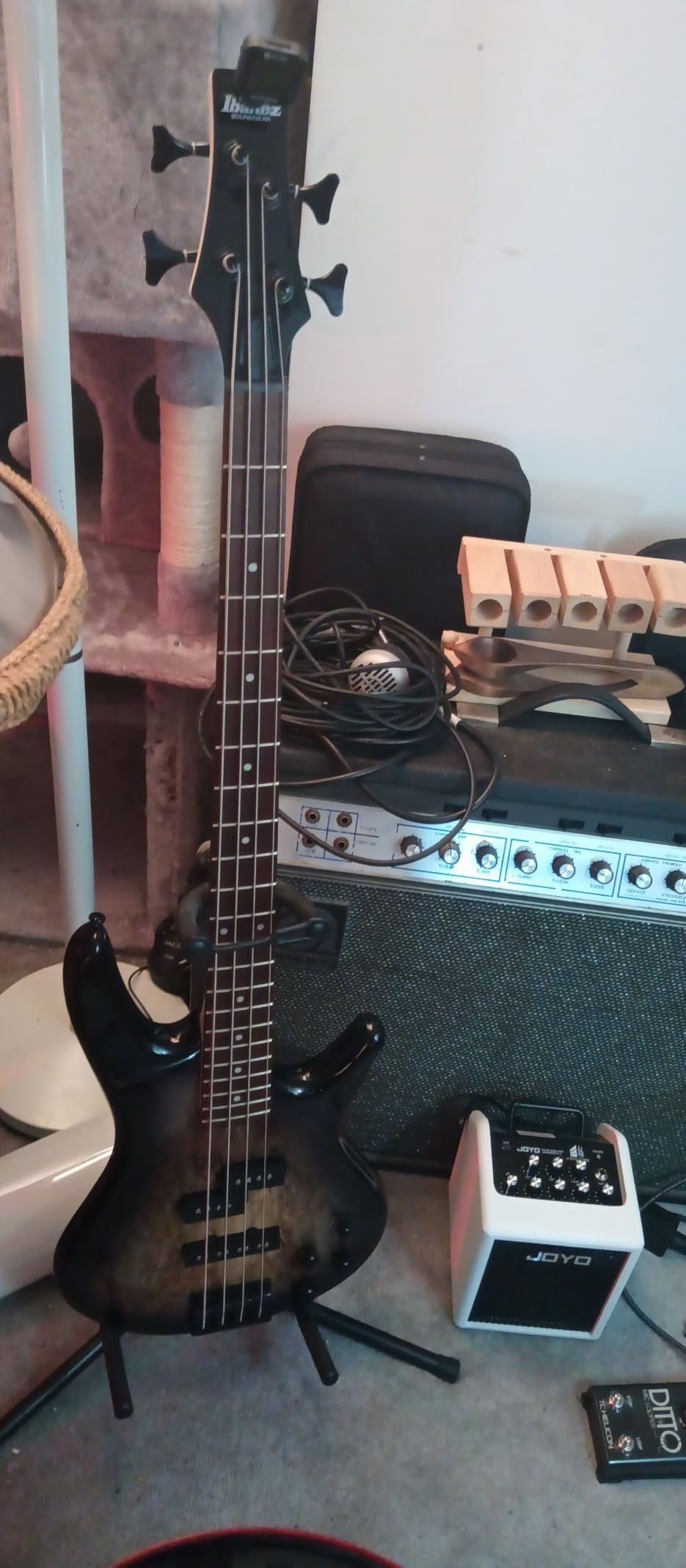 Ibanez GSR200BWNF GIO - Walnut Flat | Phat II EQ with Nyotah body and B10 bridge customer photo 2