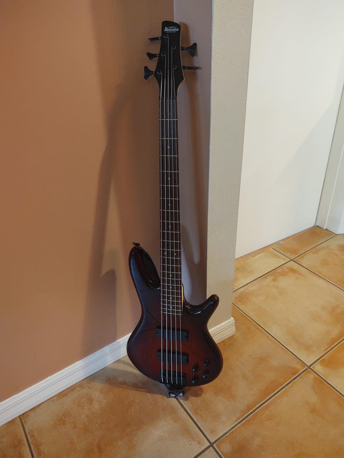 Ibanez GSR205BWNF GIO - Walnut Flat customer photo 2