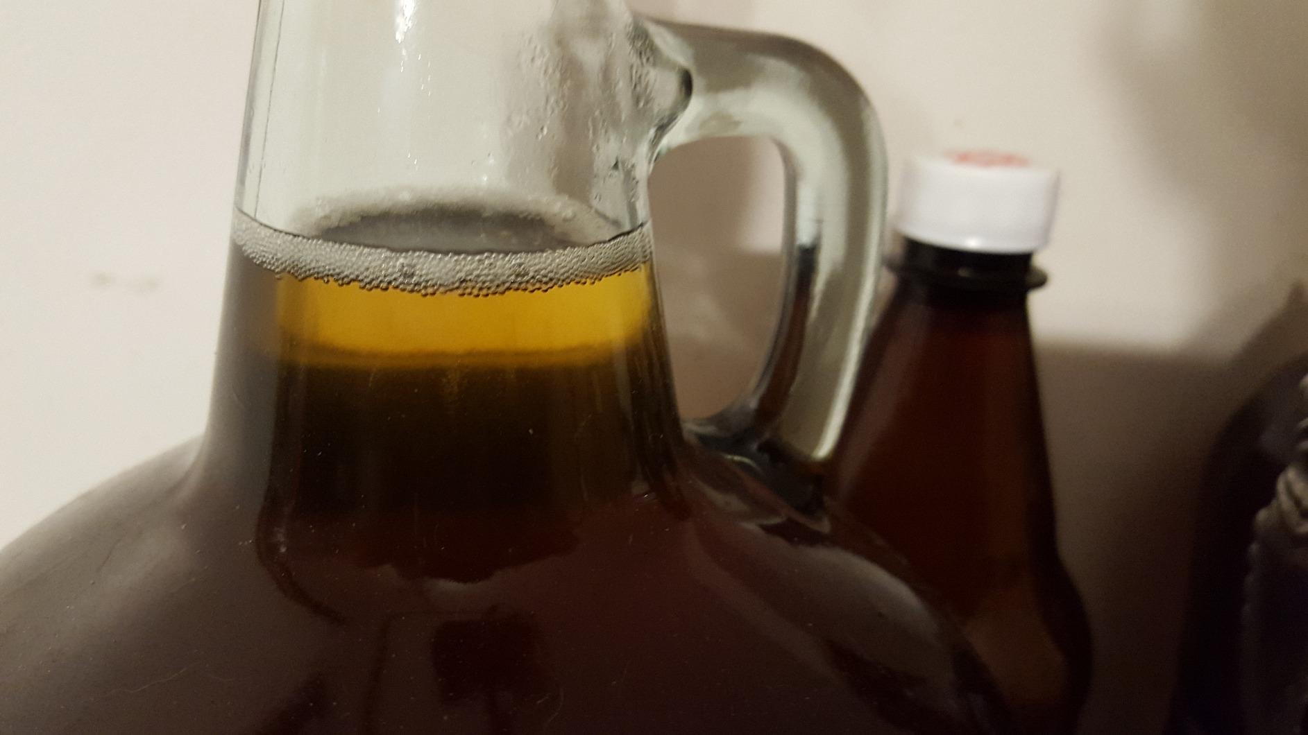 2 Gal. Forbidden Fruit Hard Cider Recipe Kit - Makes a Wicked-Good 4.5% ABV Batch of Craft Brewed Hard Cider customer photo 1