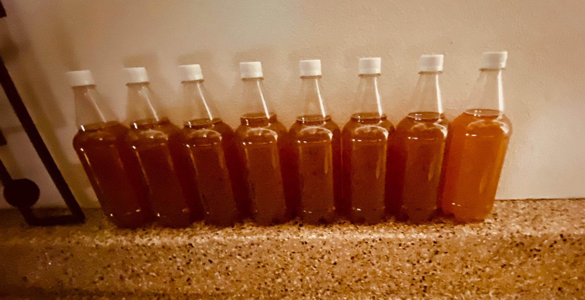 2 Gal. Forbidden Fruit Hard Cider Recipe Kit - Makes a Wicked-Good 4.5% ABV Batch of Craft Brewed Hard Cider customer photo 2